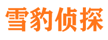 保定市婚外情调查